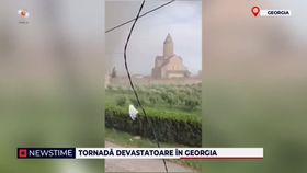 VIDEO O tornadă devastatoare a luat Georgia pe sus. Copacii au fost scoși din pământ